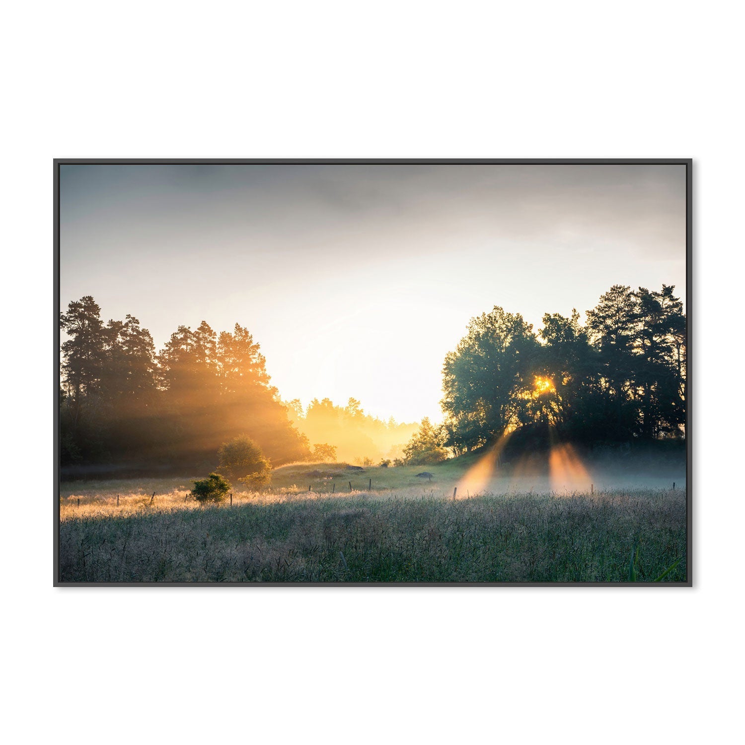 wall-art-print-canvas-poster-framed-Summer Field , By Christian Lindsten-GIOIA-WALL-ART