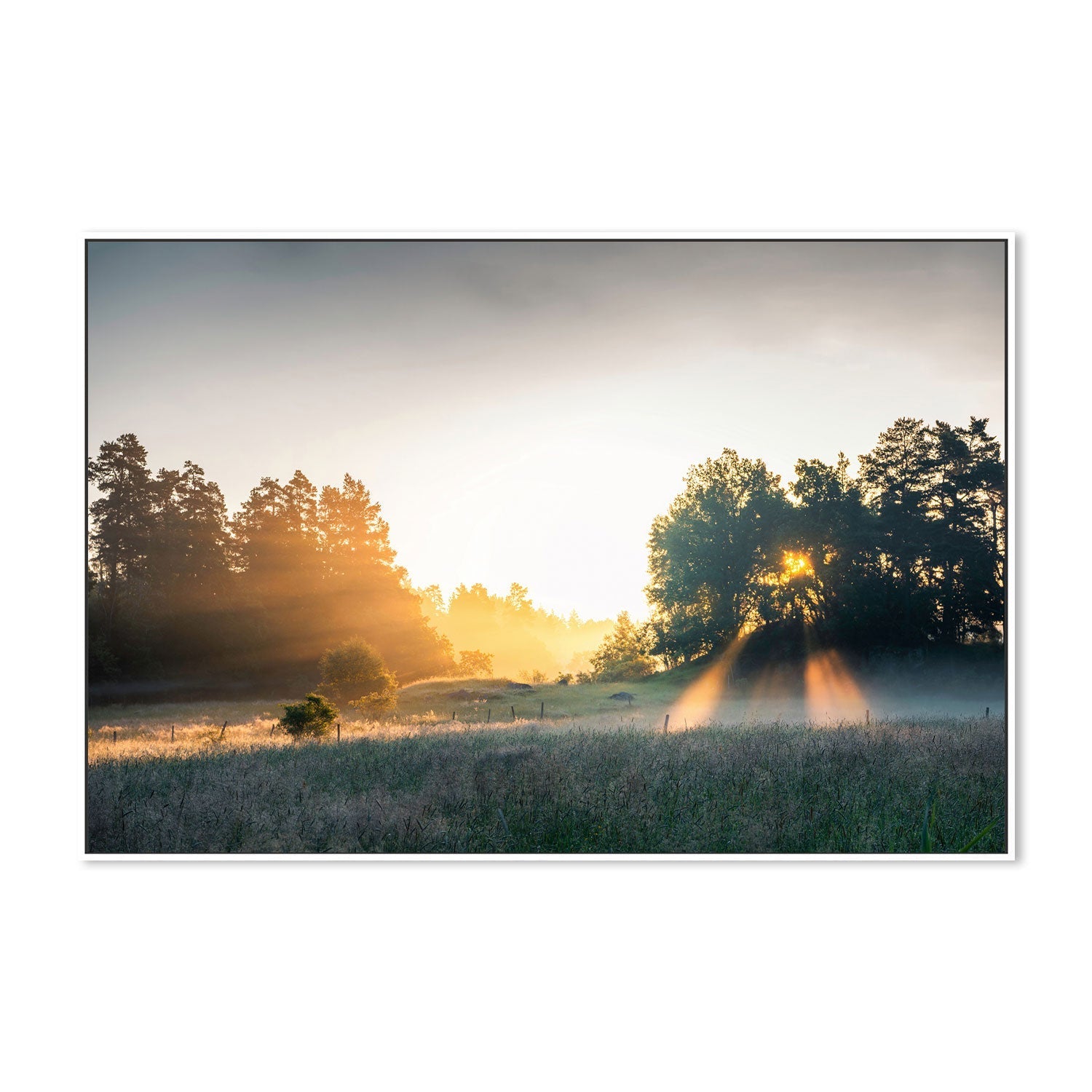 wall-art-print-canvas-poster-framed-Summer Field , By Christian Lindsten-GIOIA-WALL-ART