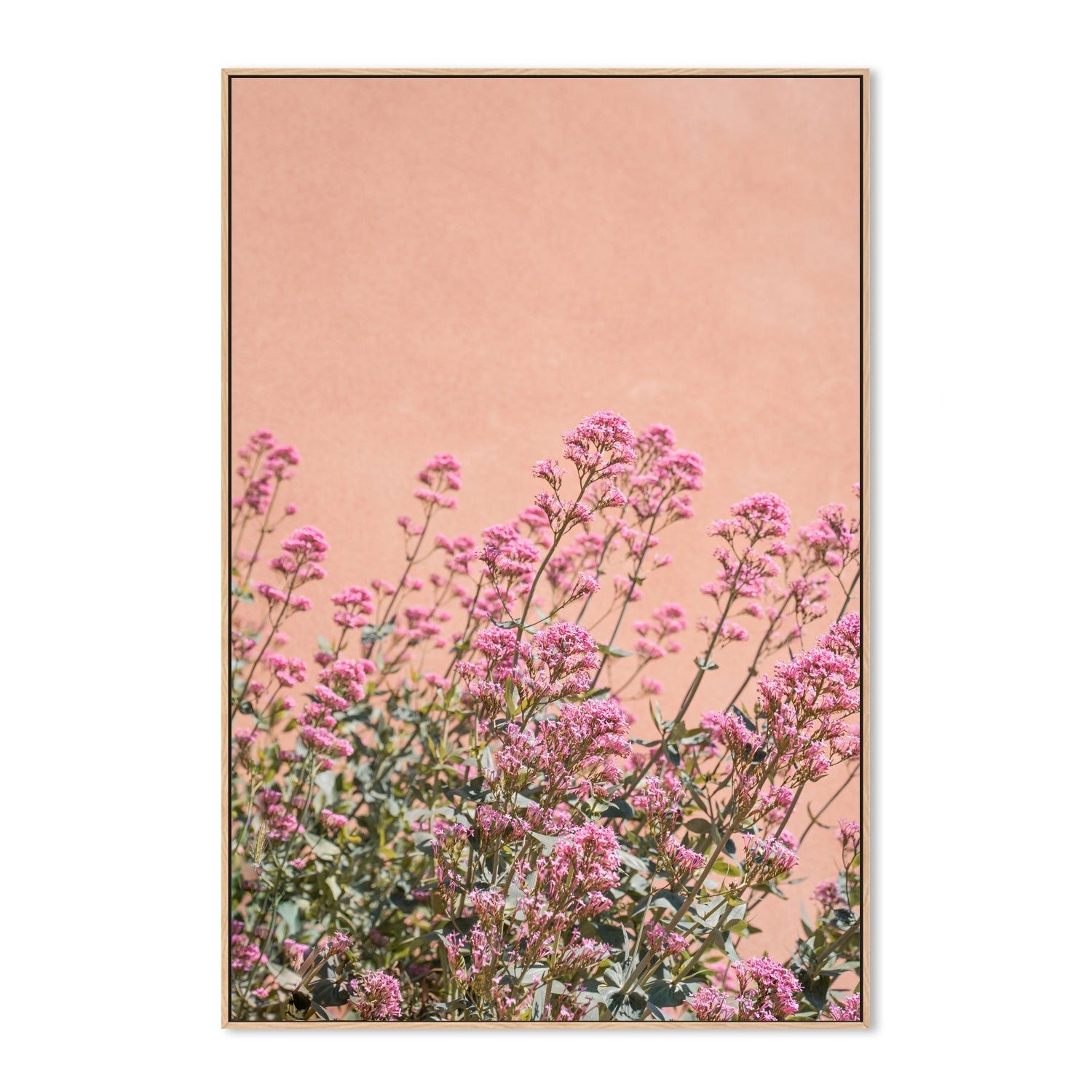 wall-art-print-canvas-poster-framed-Summer Flowers-4