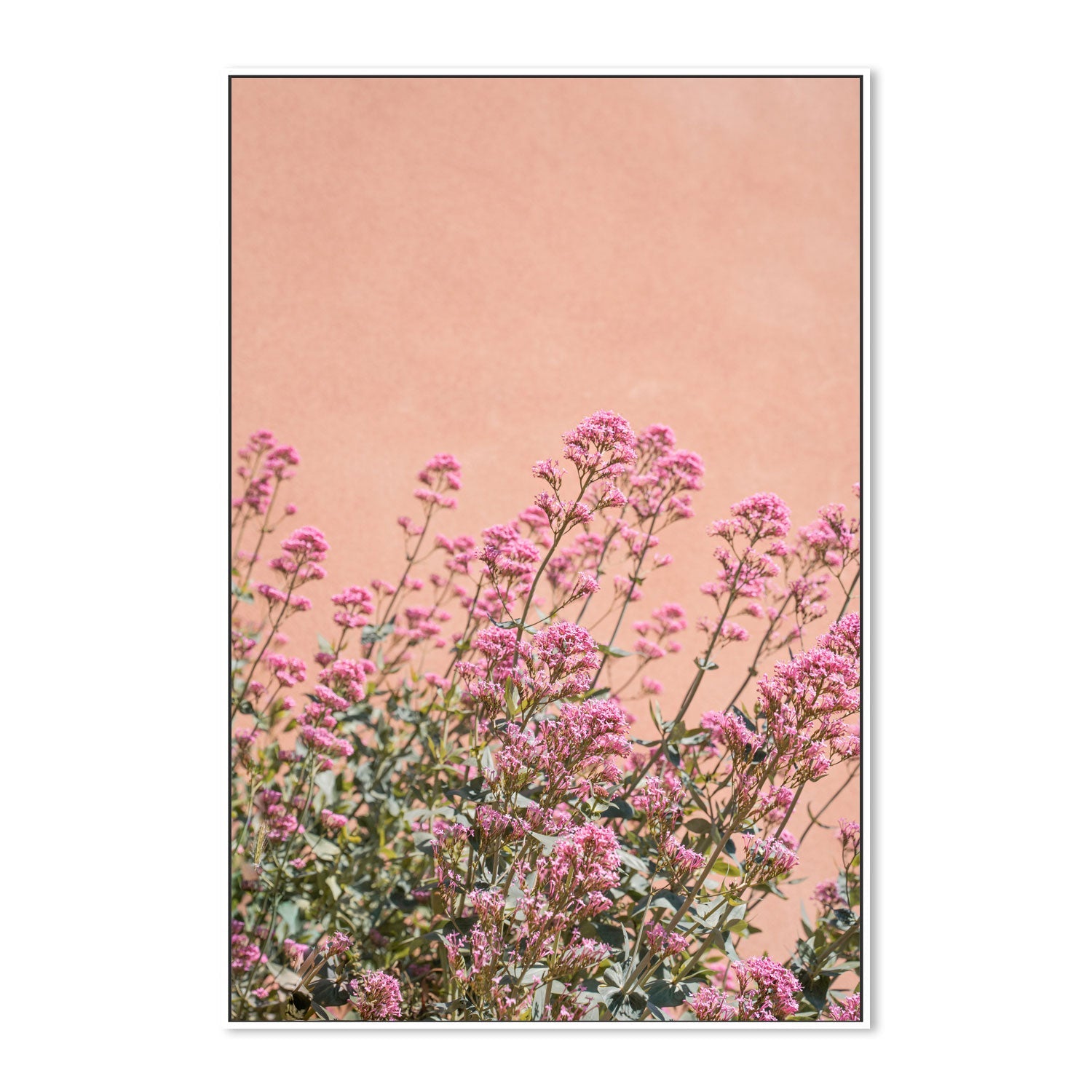 wall-art-print-canvas-poster-framed-Summer Flowers-5