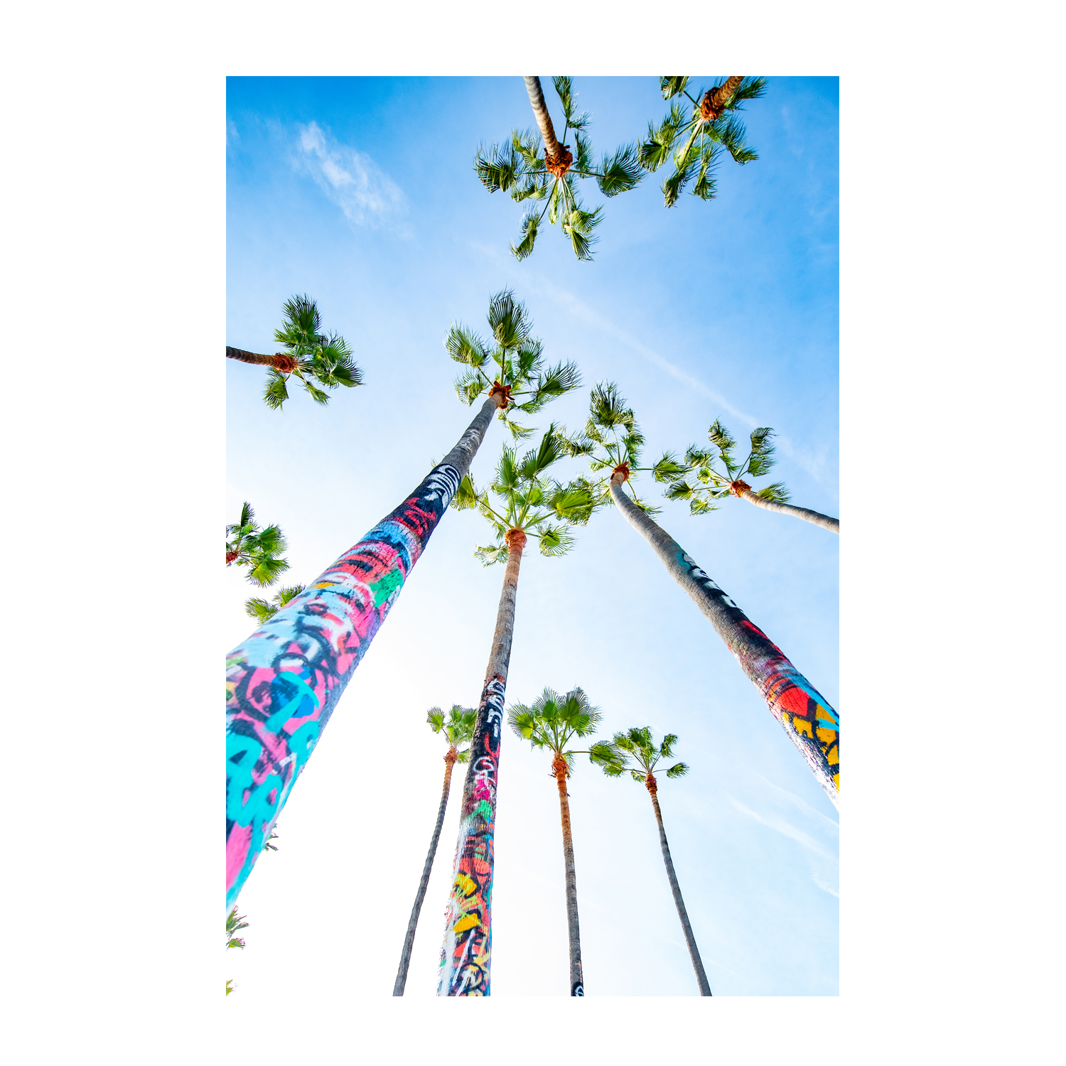 wall-art-print-canvas-poster-framed-Venice Palms , By Richard Podgurski-1