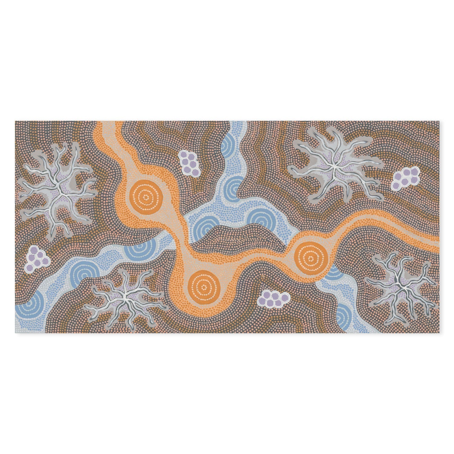 Water Soakage Style B By Azeza Possum Aboriginal Painting Print