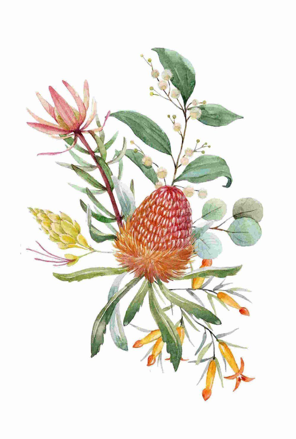 wall-art-print-canvas-poster-framed-Watercolour Bouquet, Banksias,Protea Leaves, Eucalyptus, Parrot And Cockatoo, Set Of 2-by-Gioia Wall Art-Gioia Wall Art