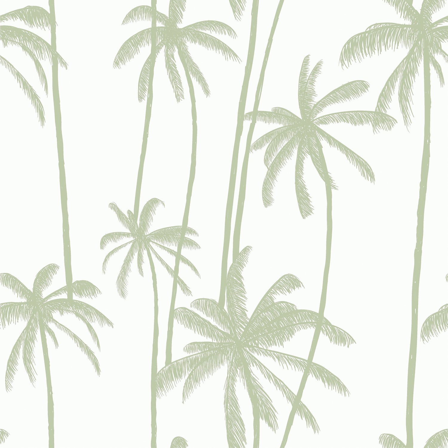 Tall Green Palm Tree Wallpaper