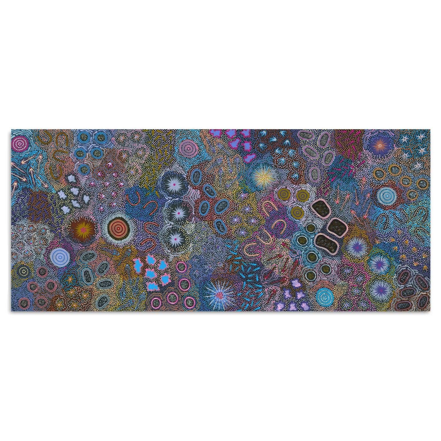 Michelle Possum Nungurrayi - Original Paintings – Gioia Wall Art